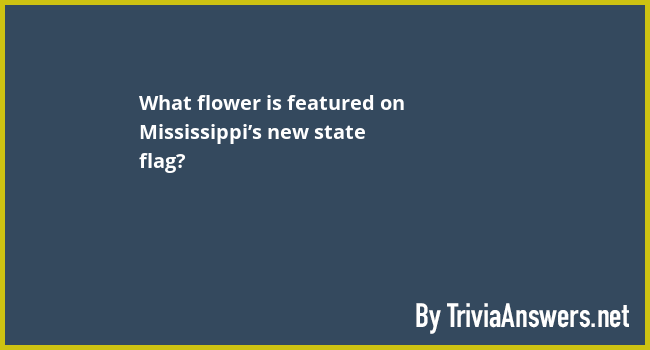 What flower is featured on Mississippi’s new state flag?