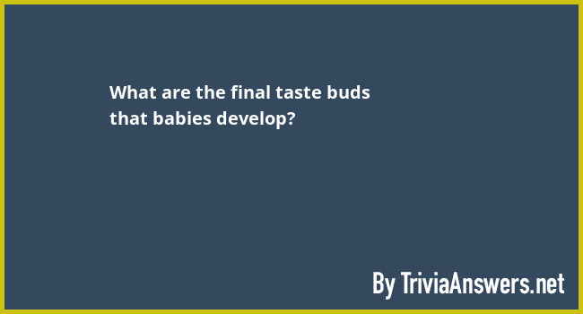 What Are The Final Taste Buds That Babies Develop