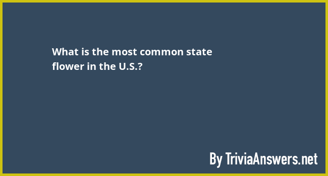 what-is-the-most-common-state-flower-in-the-u-s-triviaanswers